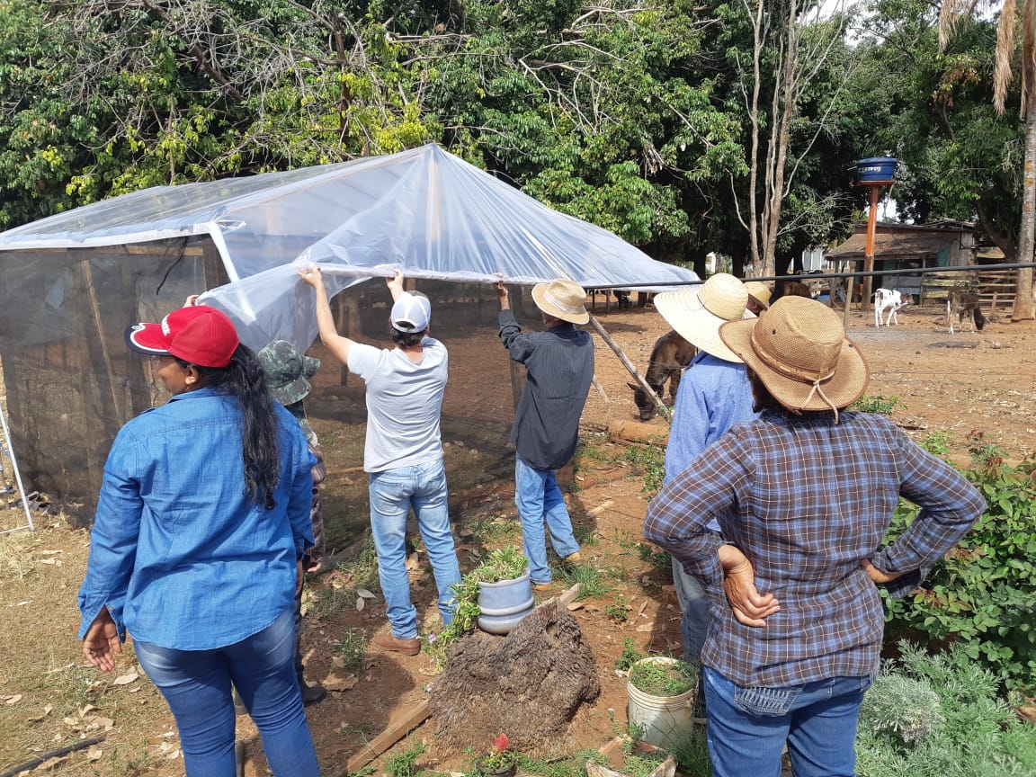 Curso de Holericultura Orgânica capacita agricultores familiares