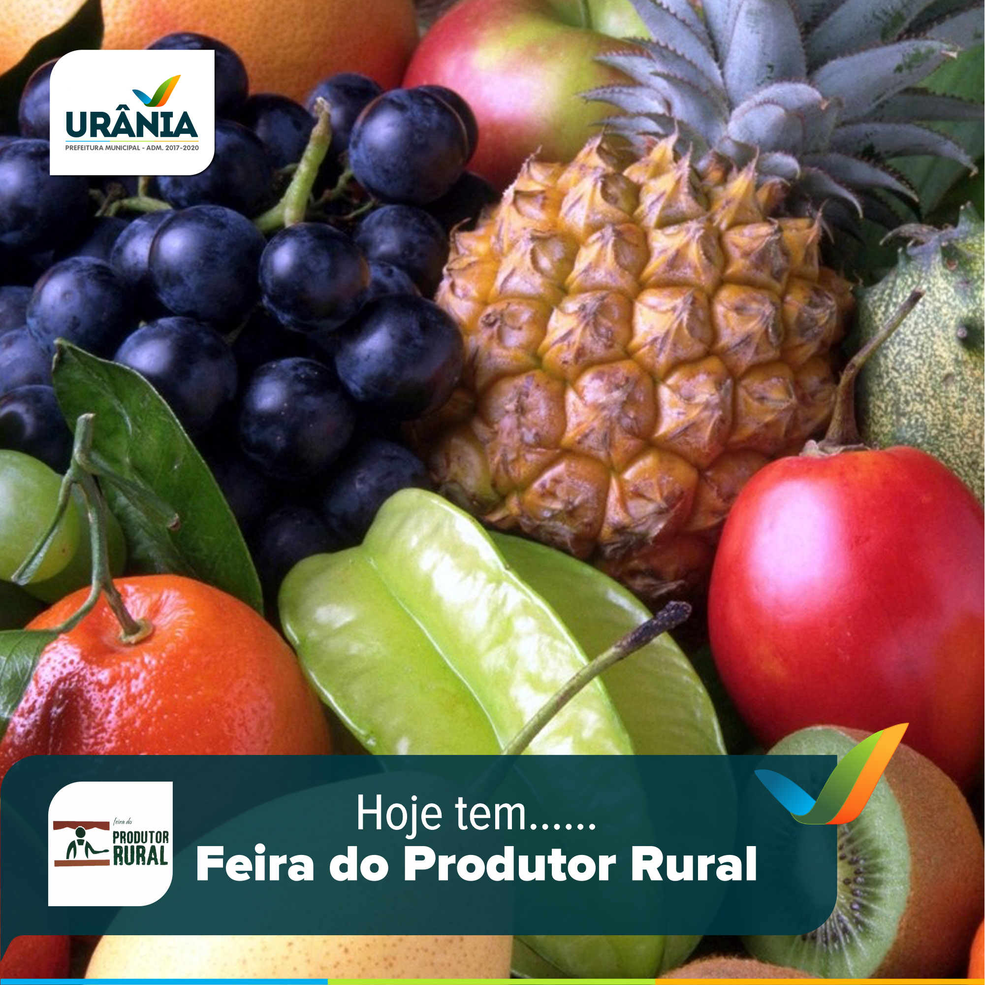 Hoje é dia de Feira