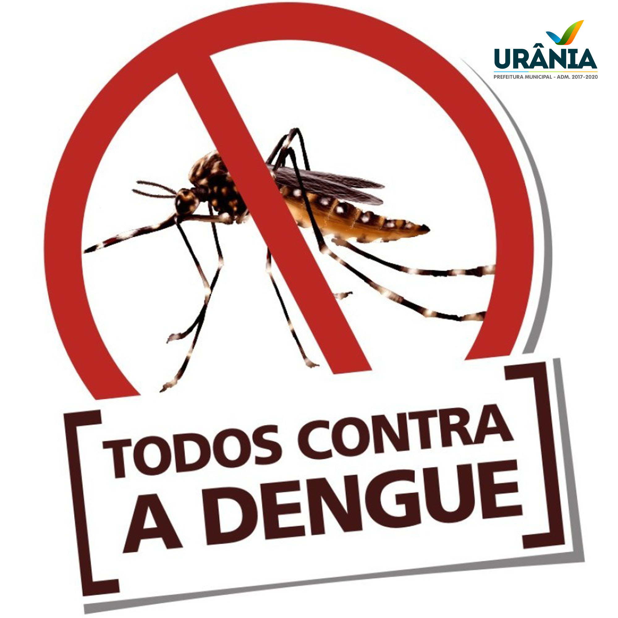 Cuidados com a Dengue