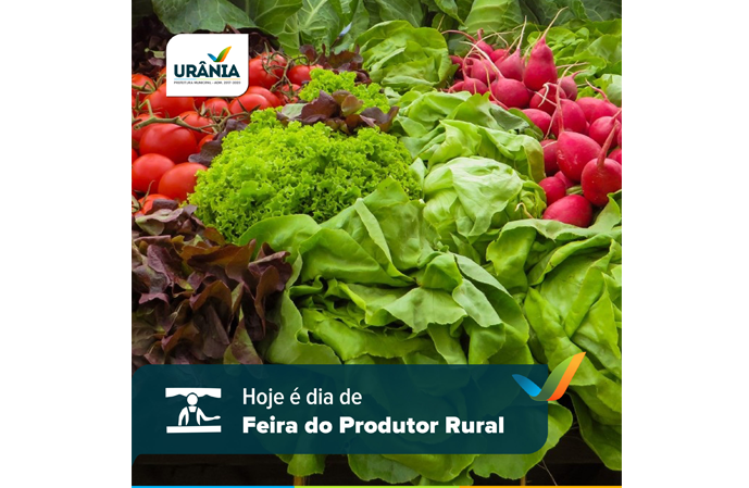 Dia de Feira