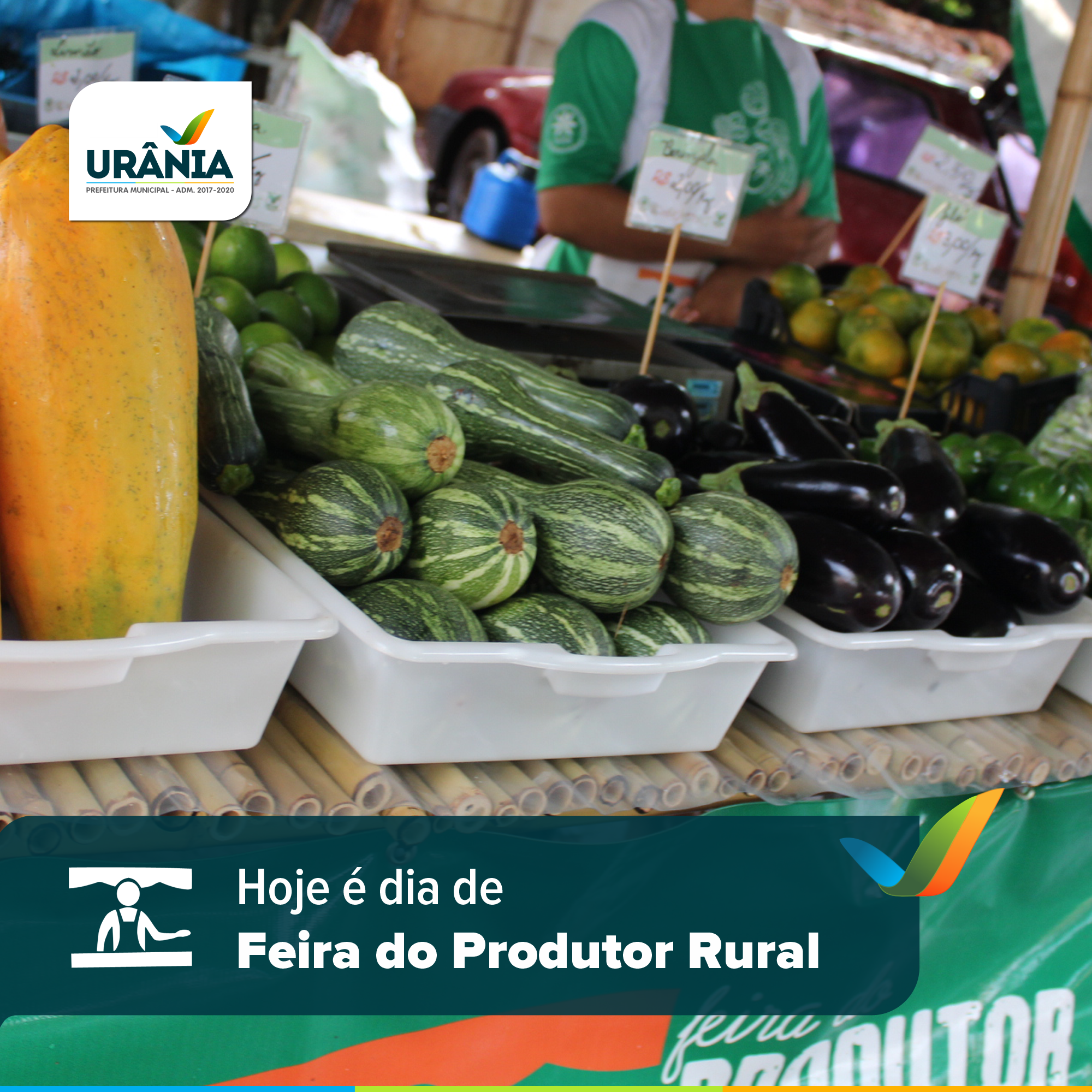 Hoje tem feira