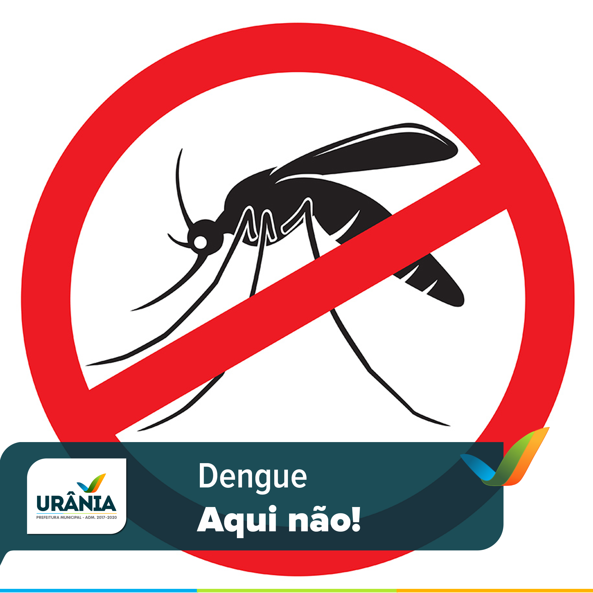  Dengue? Aqui não