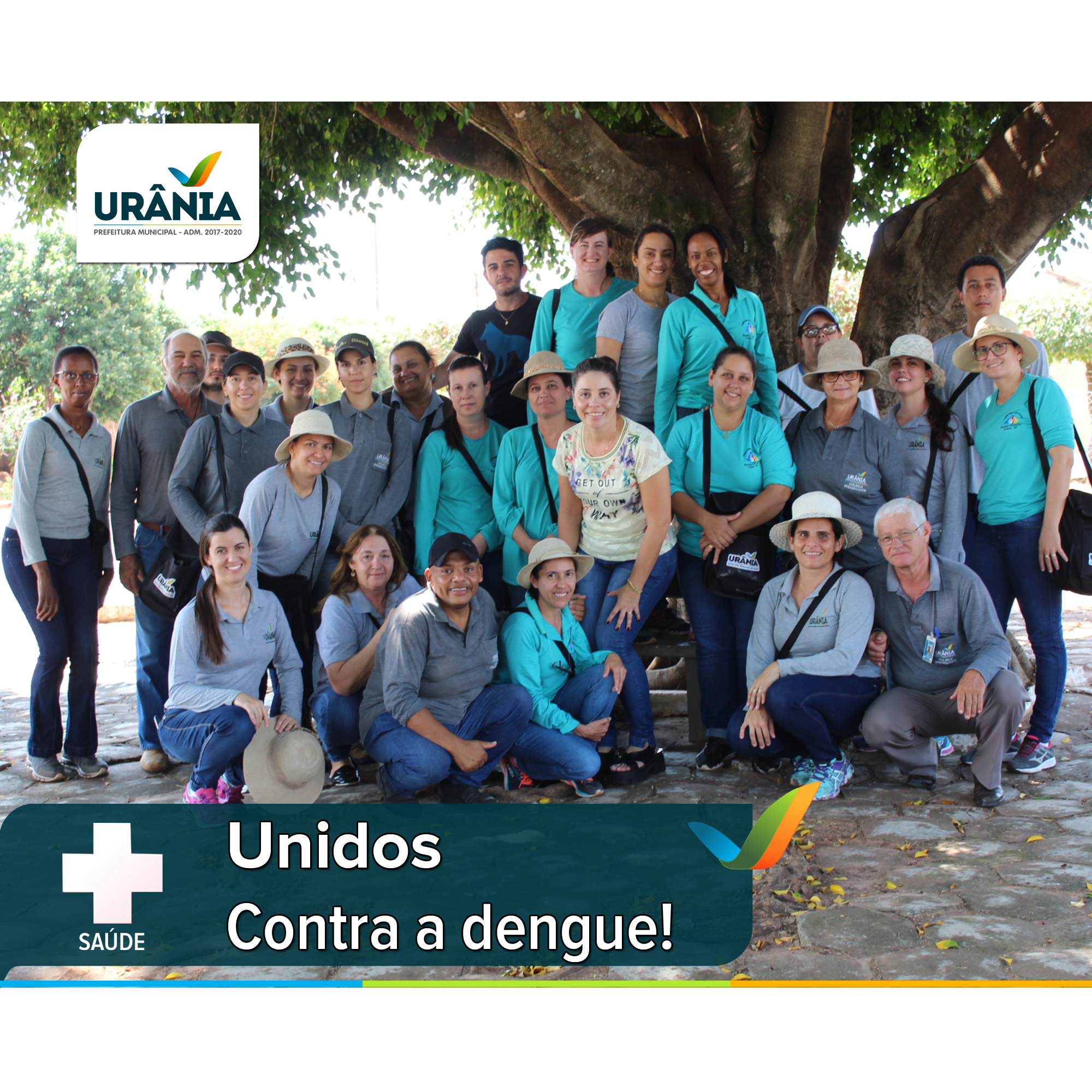Unidos contra a dengue