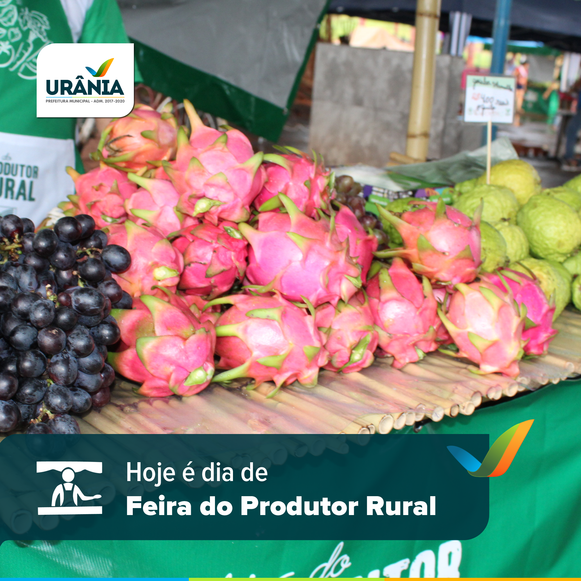  Hoje é dia de Feira do Produtor Rural