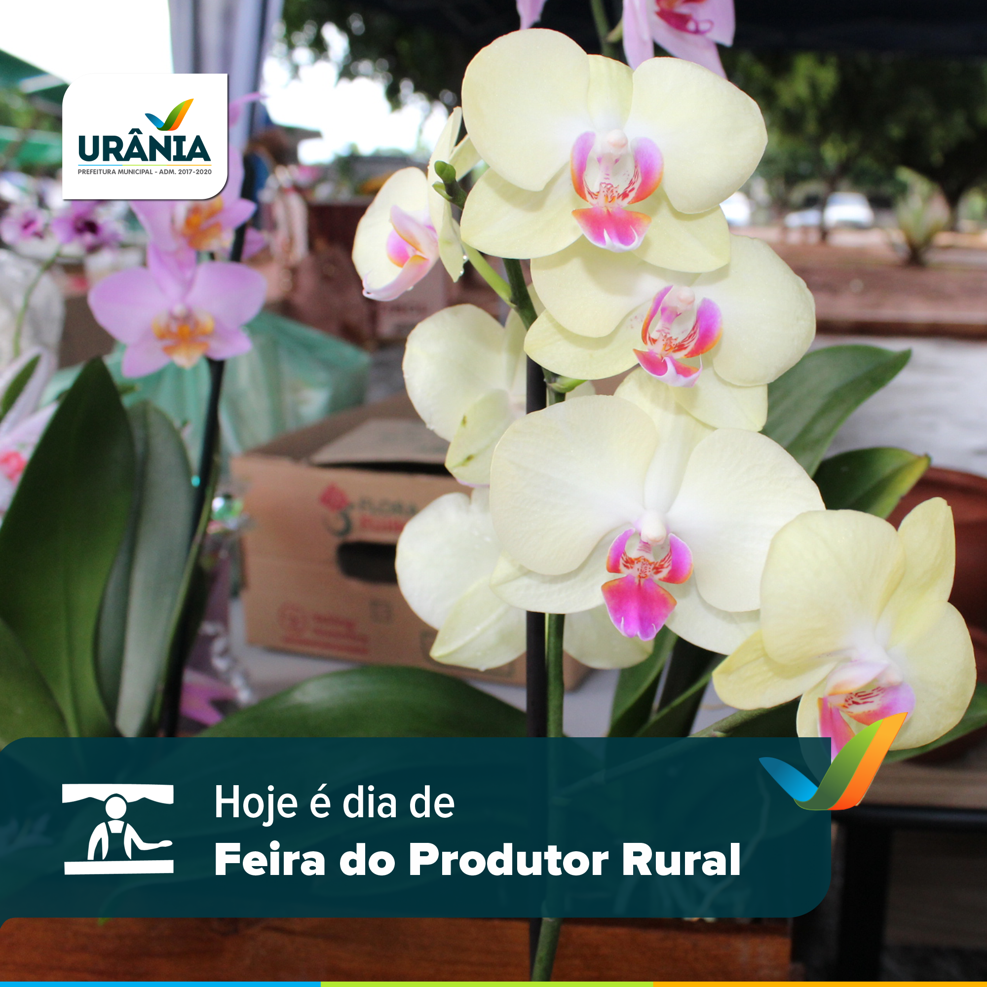 Dia de Feira do Produtor Rural