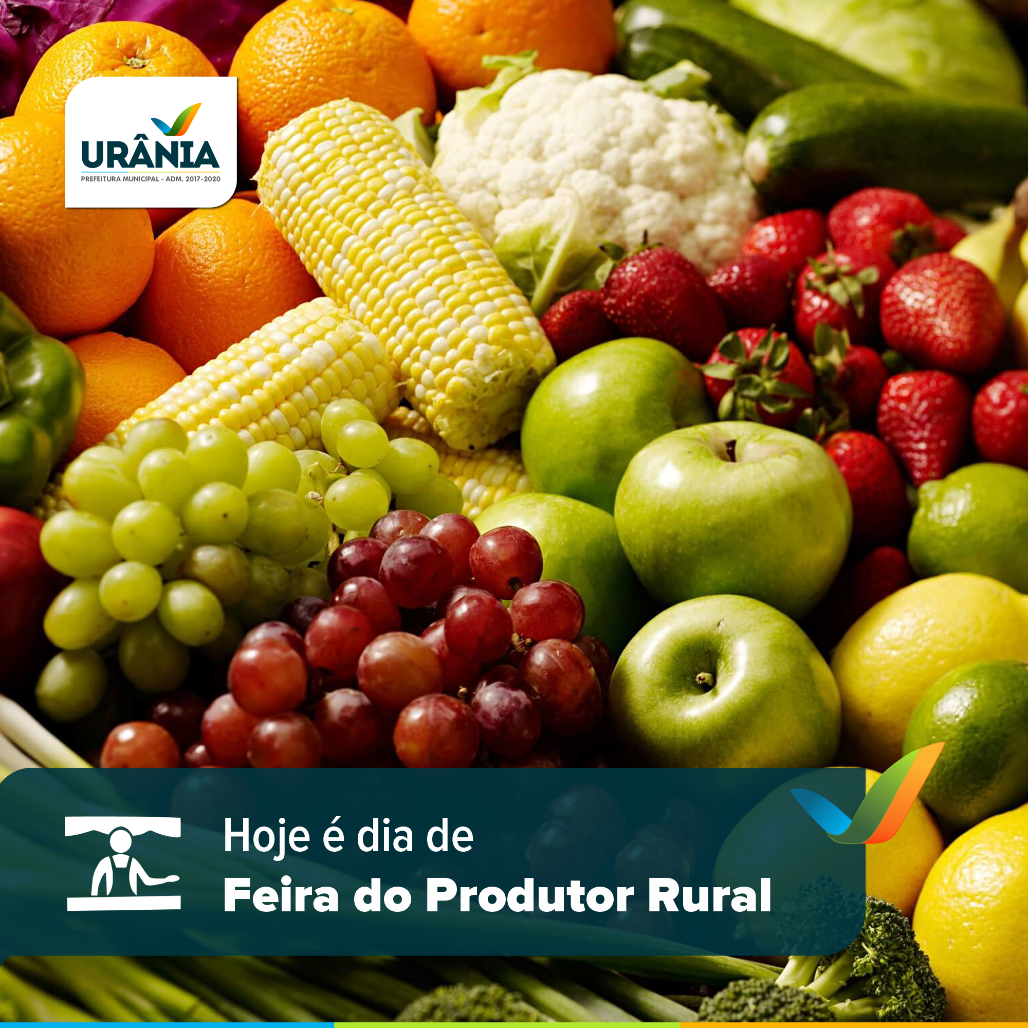 Hoje é dia de Feira