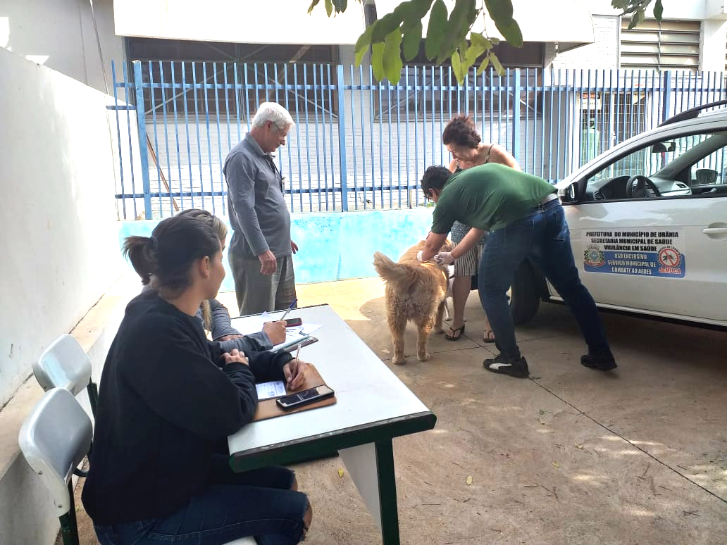 Secretaria de Saúde vacina cães e gatos do município