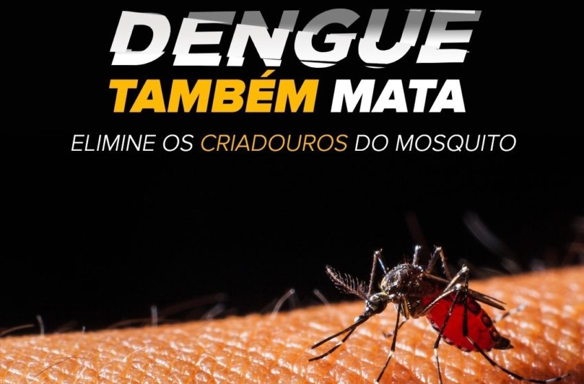  Não podemos esquecer da Dengue!